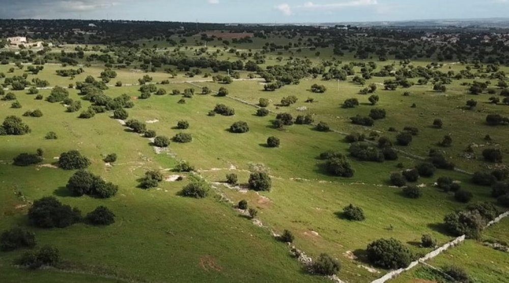 L'area in cui dovrebbe sorgere l'impianto di biometano